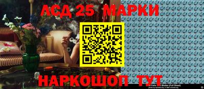 индика Шелехов
