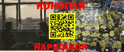 индика Шелехов
